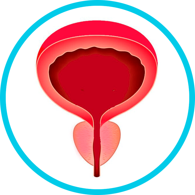 Preprečevanje prostatitisa