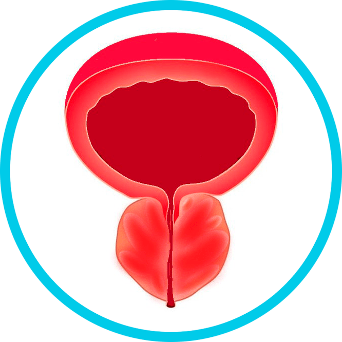 Simptomi prostatitisa